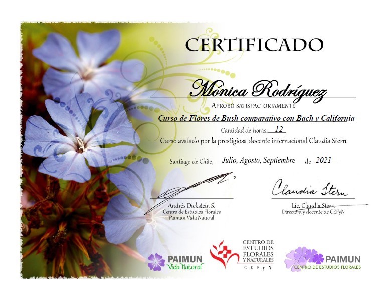 terapia floral Ñuñoa