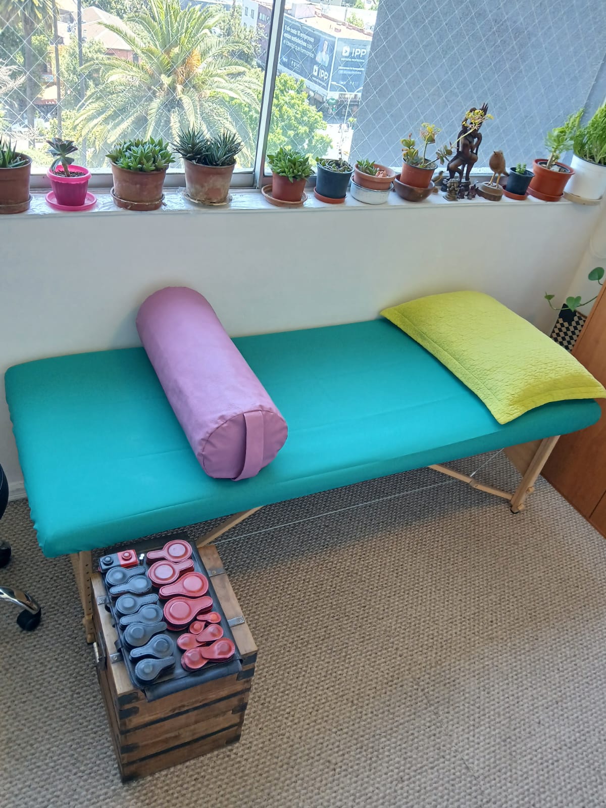 biomagnetismo Ñuñoa