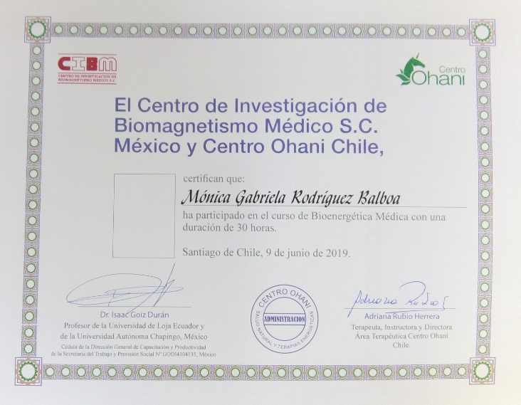 Terapias naturales Santiago de Chile